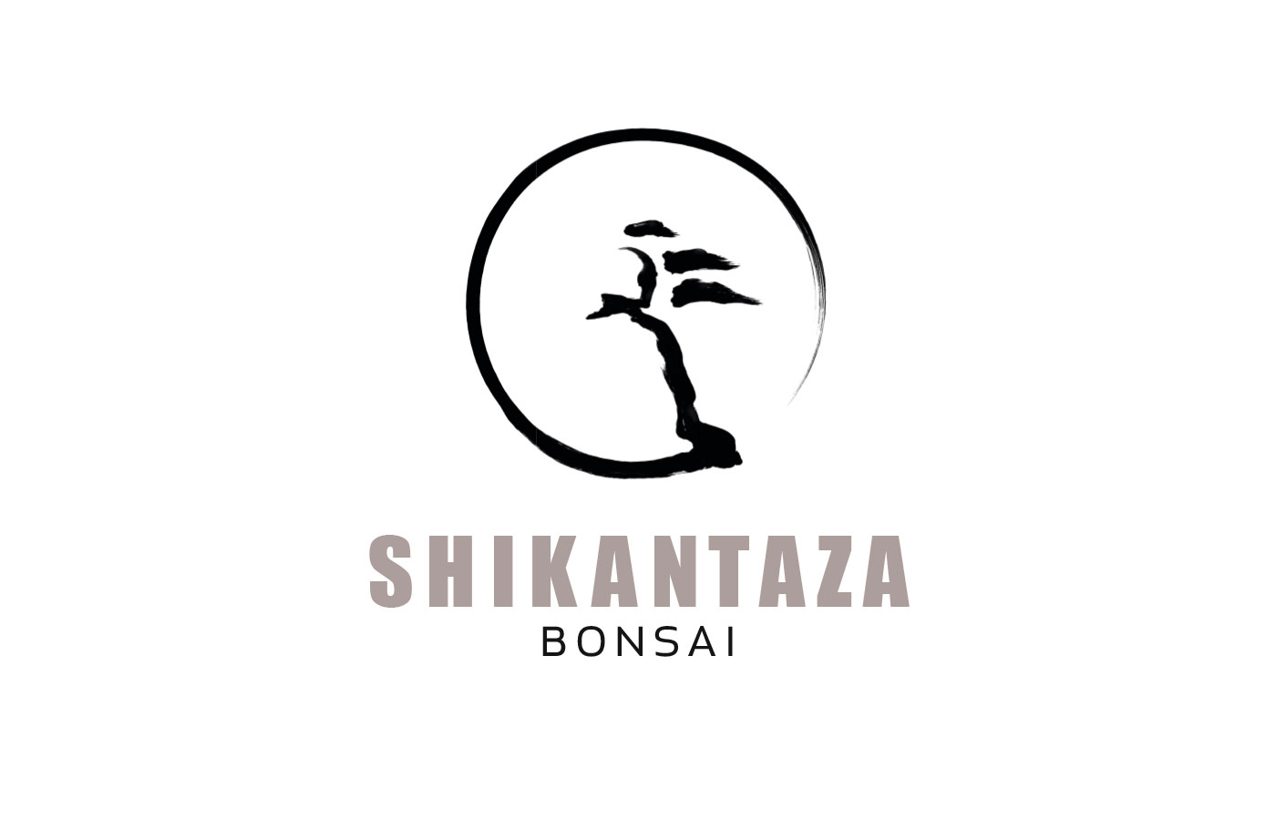 Markenentwicklung für Shikantaza - Teil 1