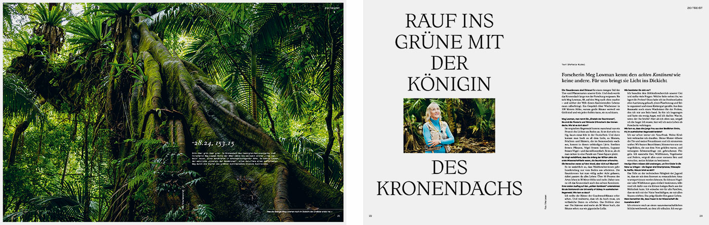 Kronendach - Magazin-Entwicklung- Teil 3
